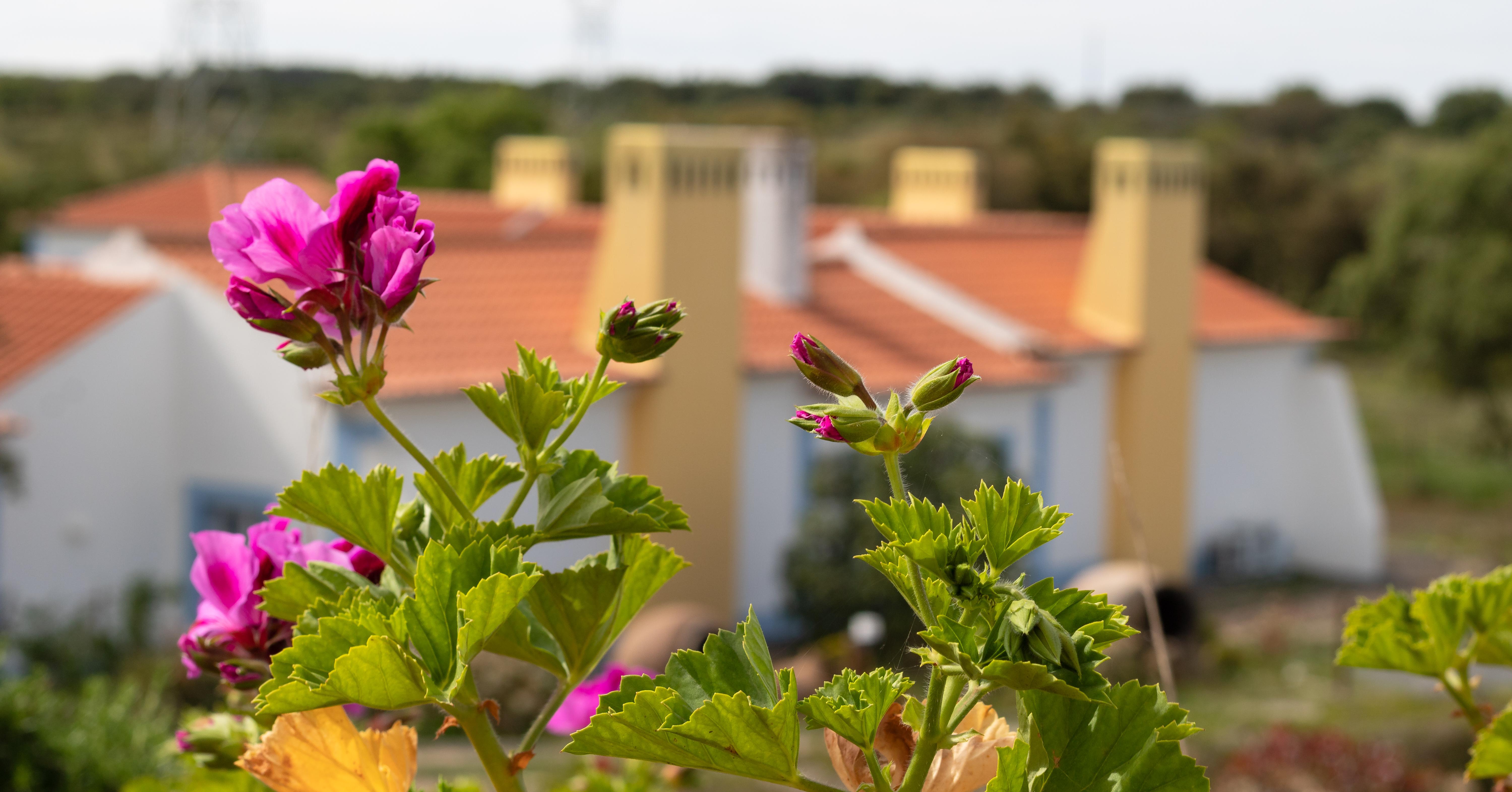 Monte Do Giestal - Casas De Campo & Spa Abela Exterior photo